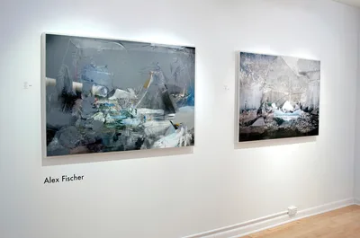 20090702 Alex Fischer Hot! O'Born Contemporary 06 South West Esteem +Jeff Wall Dug Me a Mountain documentation.jpg